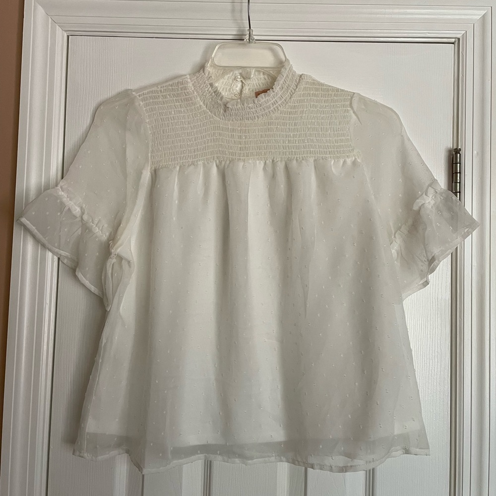 Evolutionary White Top